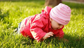 Kleines Baby krabbelt über eine Wiese | © Brebca - Fotolia